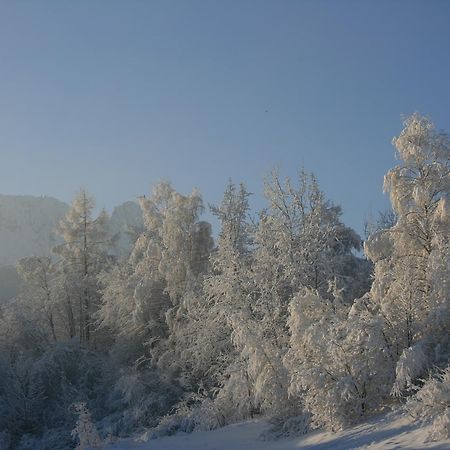 Apartamenty Paradis Zakopane Exteriör bild