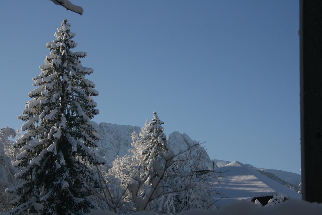 Apartamenty Paradis Zakopane Exteriör bild