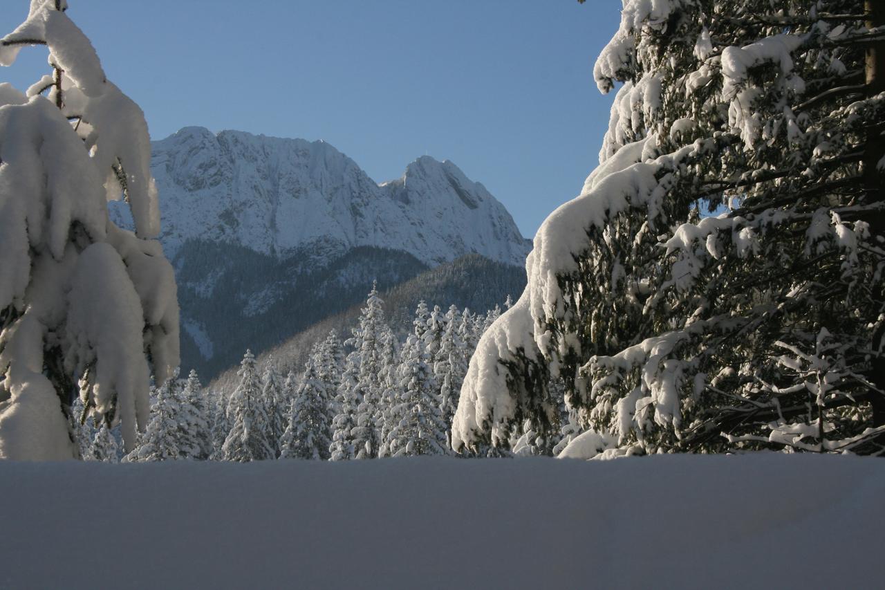 Apartamenty Paradis Zakopane Exteriör bild
